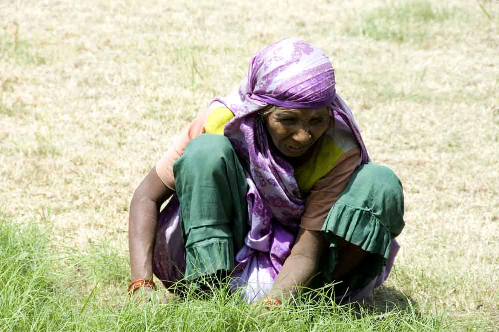 India - Agra - mujer trabajando - 2009